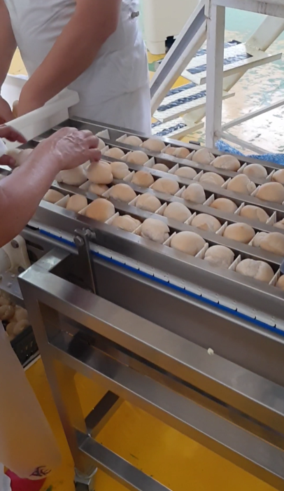 Máquina Recheadora pão Bolinha 3.png